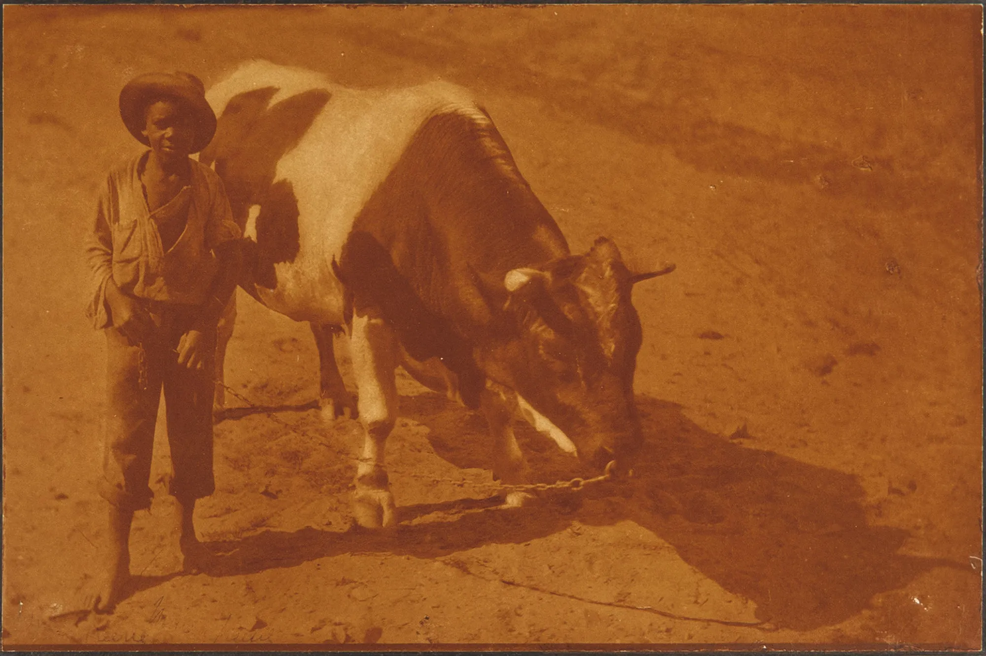 The Boy and the Bull