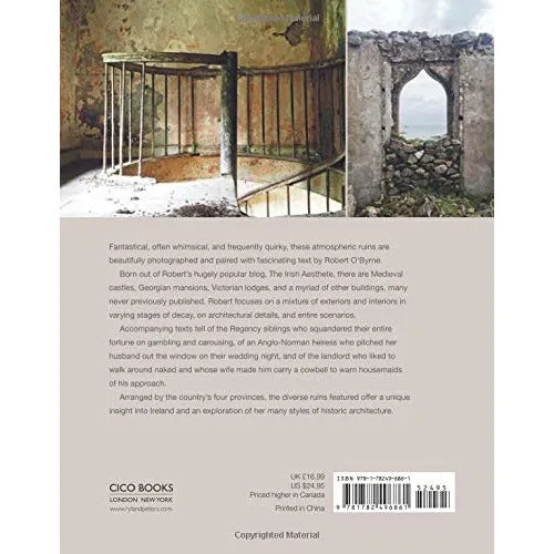 The Irish Aesthete: Ruins of Ireland
