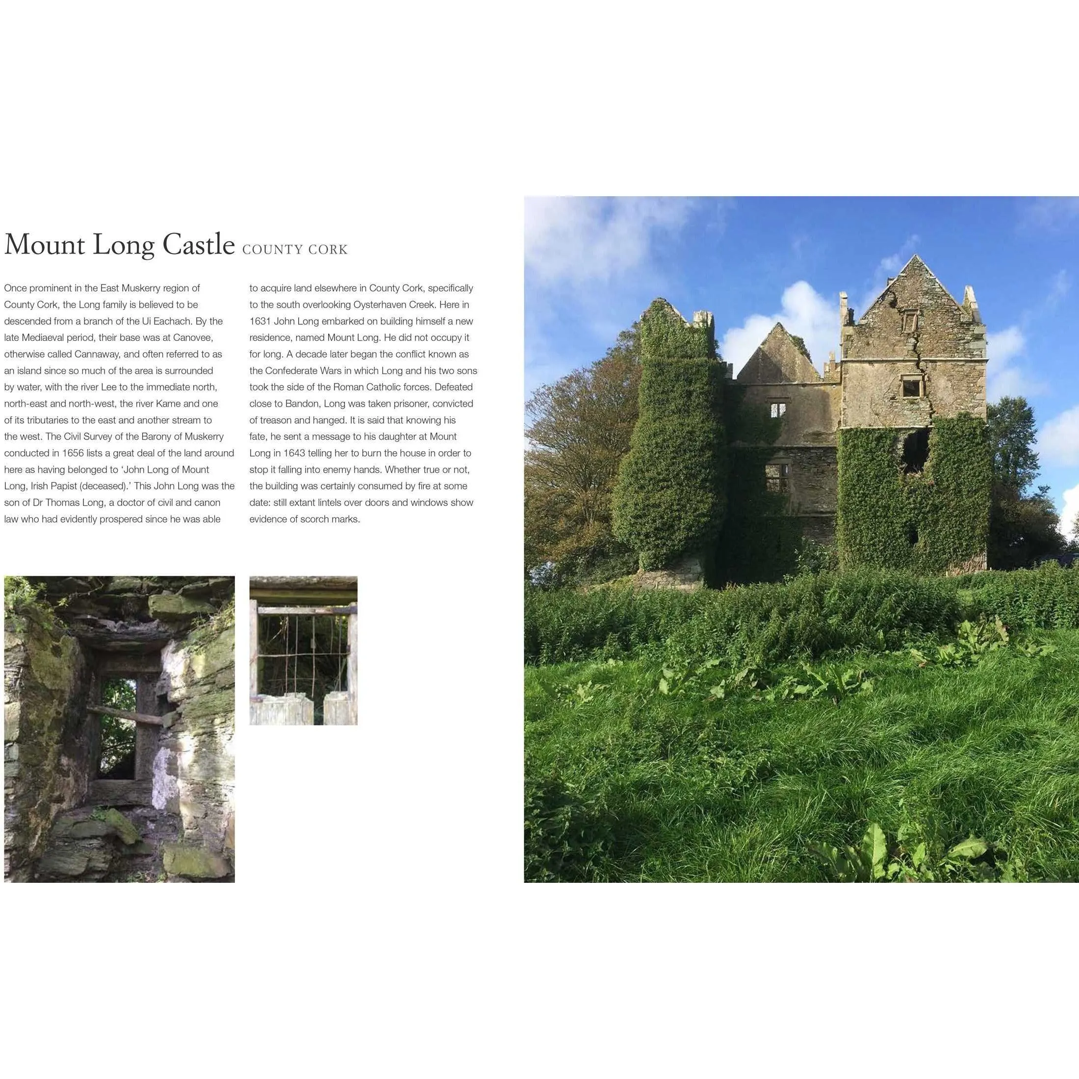 The Irish Aesthete: Ruins of Ireland