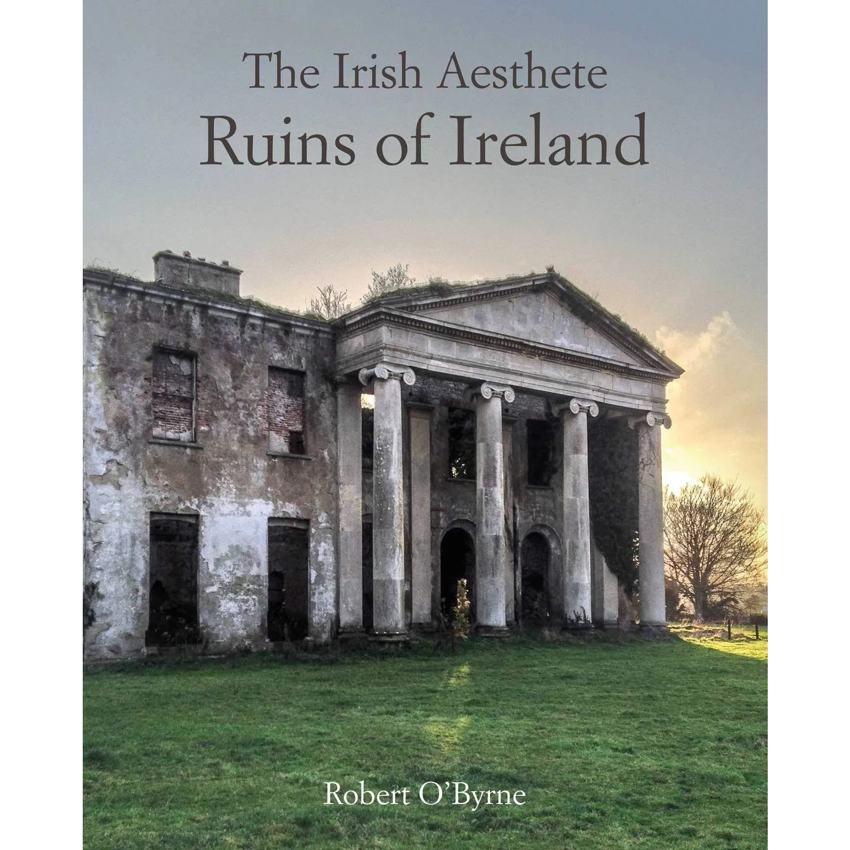 The Irish Aesthete: Ruins of Ireland