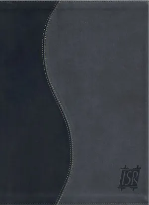 The Scriptures 2009, Duotone Charcoal (Large Print Soft Cover), by ISR