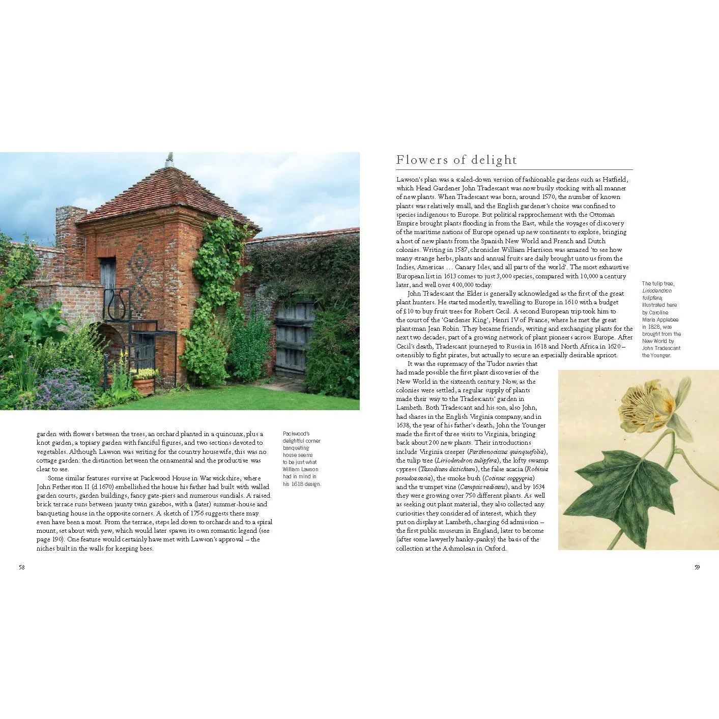 The Story of the English Garden