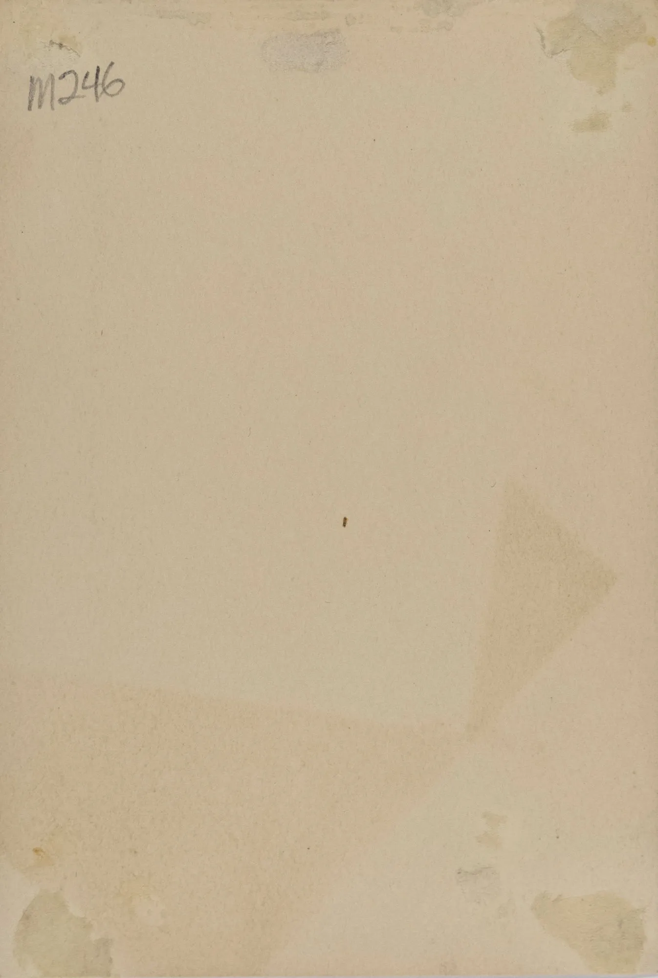 Untitled [Portrait of a young girl]