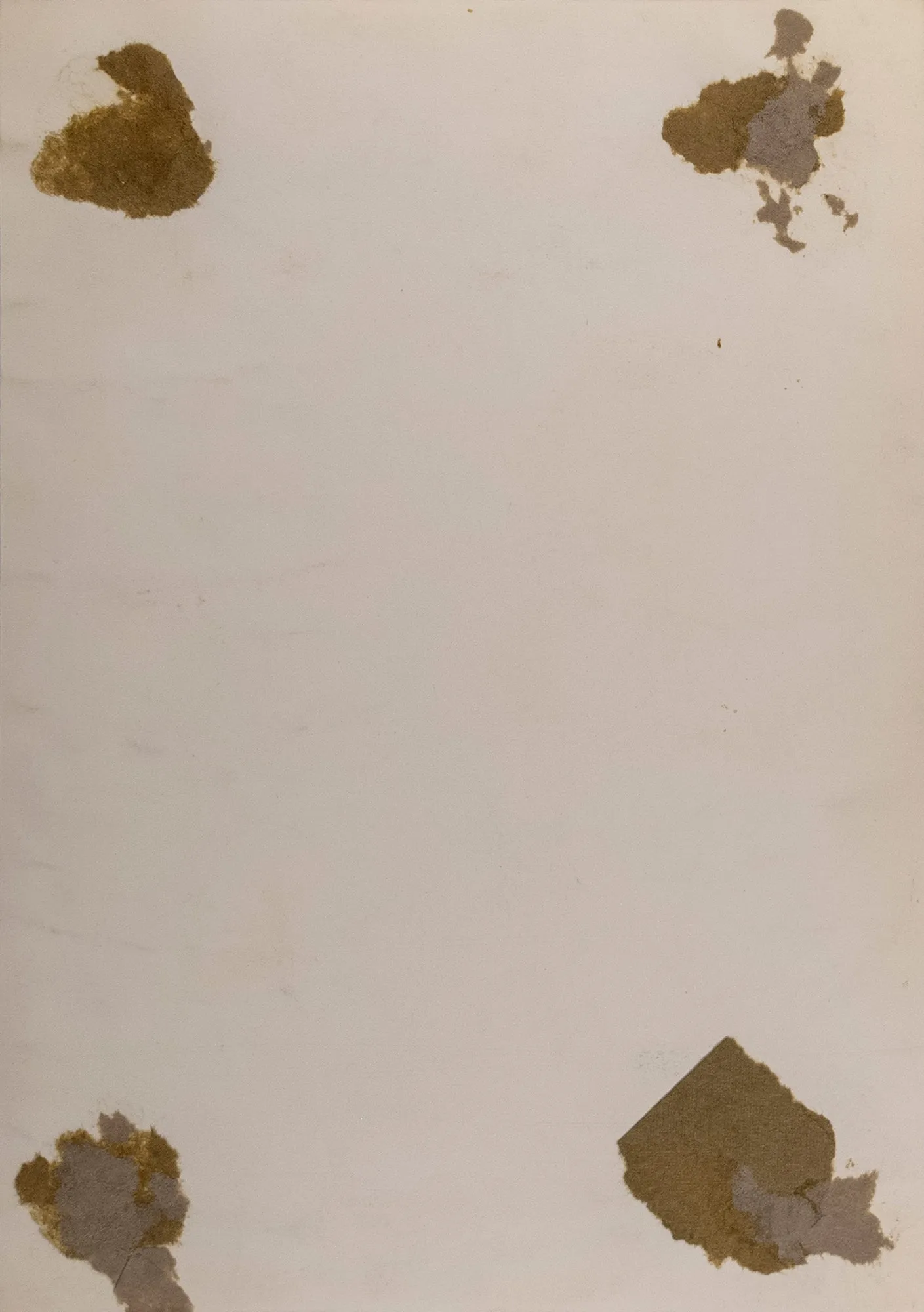 Untitled (portrait of a young woman)