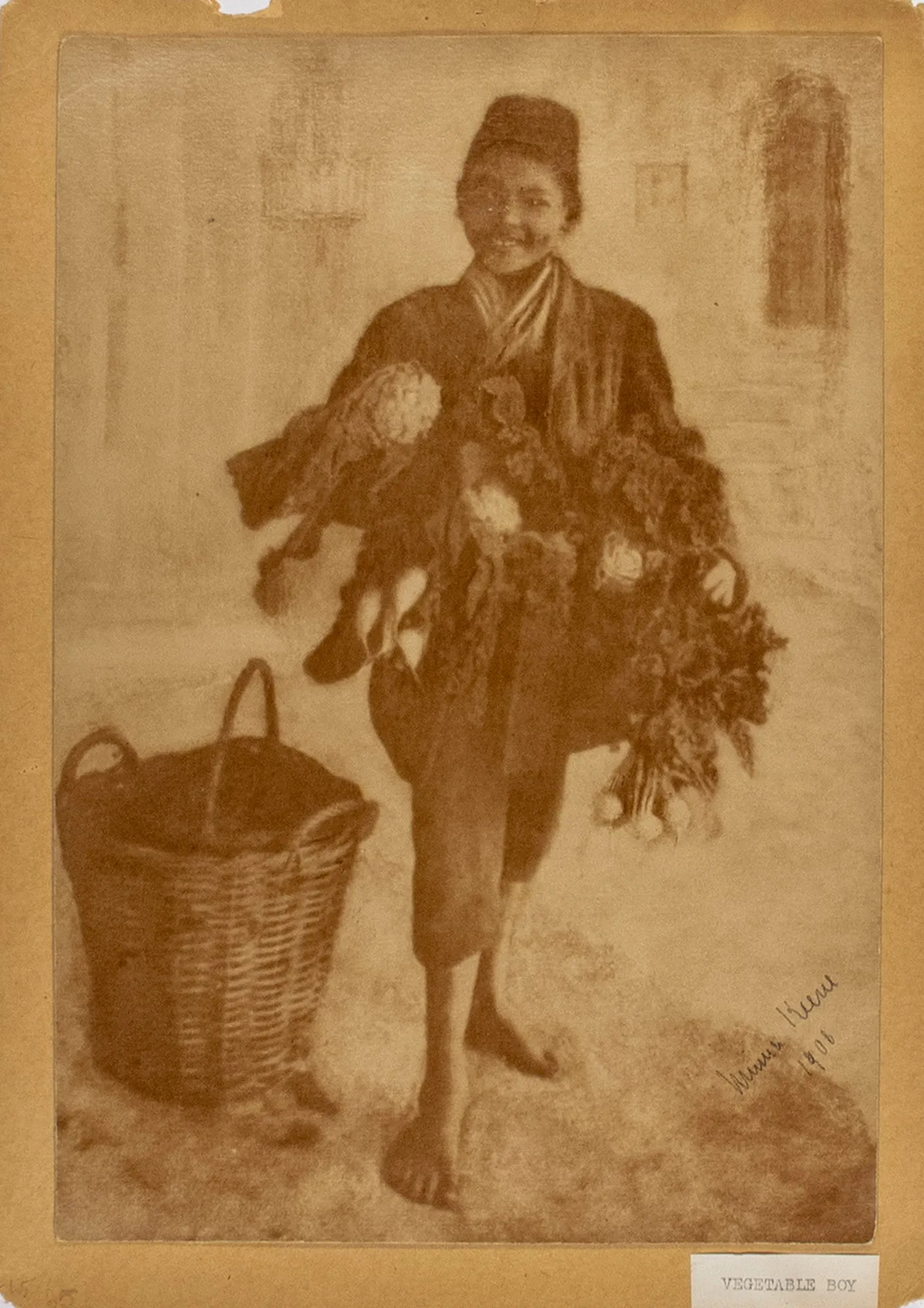 Vegetable Boy